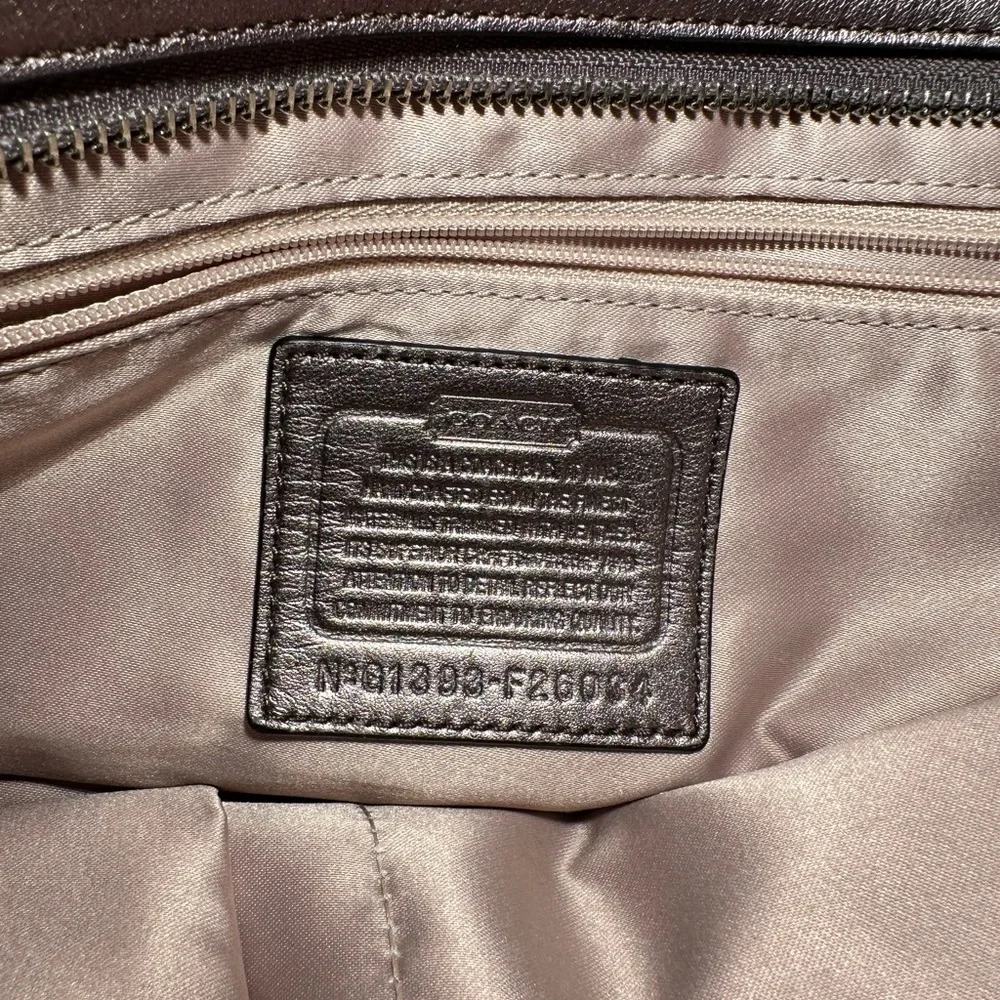 Grunge Glam Alt Gunmetal Gray Python Snake Coach Taylor Alexis Carryall Satchel